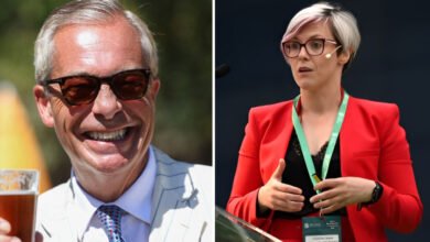 Gráinne Hayes: Everything to Know About Nigel Farage’s First Wife